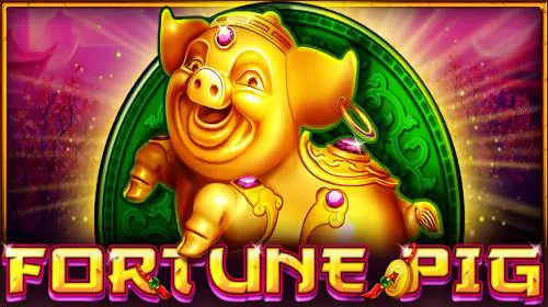 Fortune Pig - Spin City - Congo
